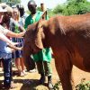 David-Sheldrick