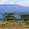 Lake-Naivasha2