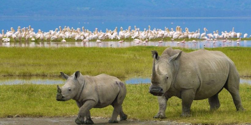 Lake-Nakuru-Naitional-Park